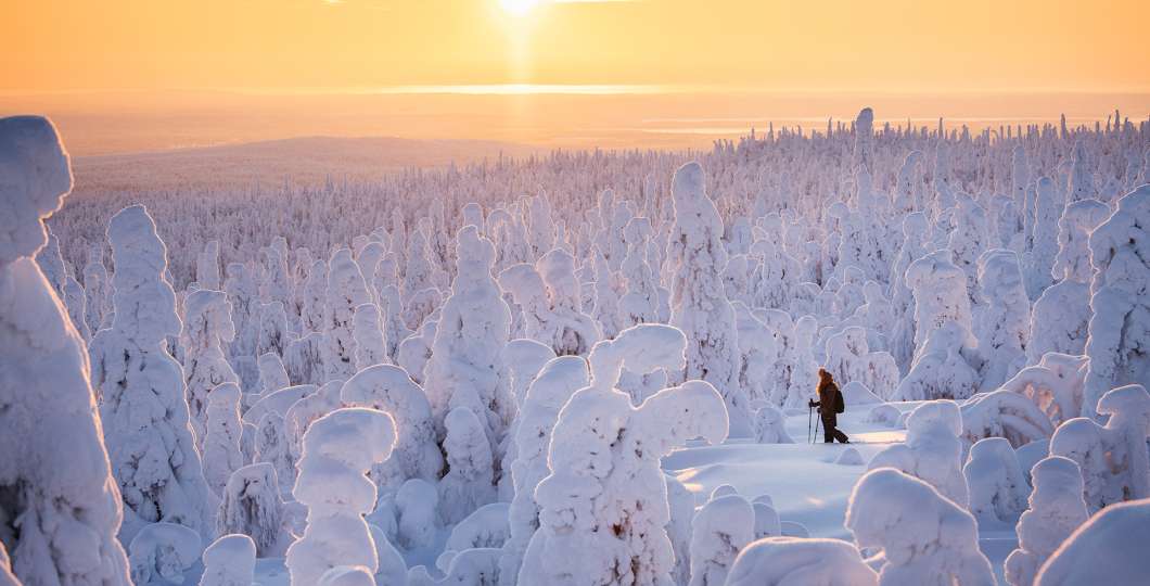 Arctic wilderness sunset
