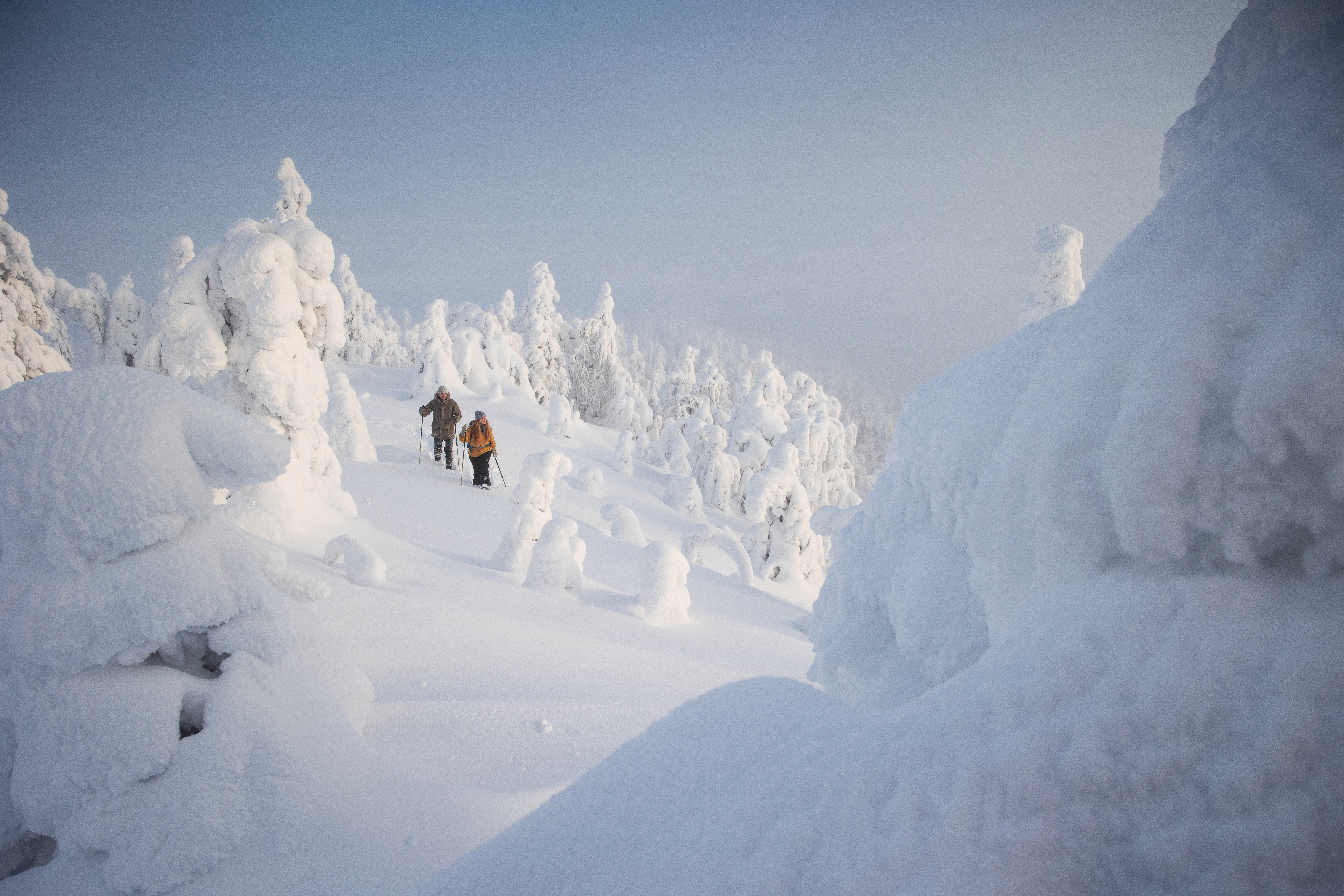 Arctic snowshoeing